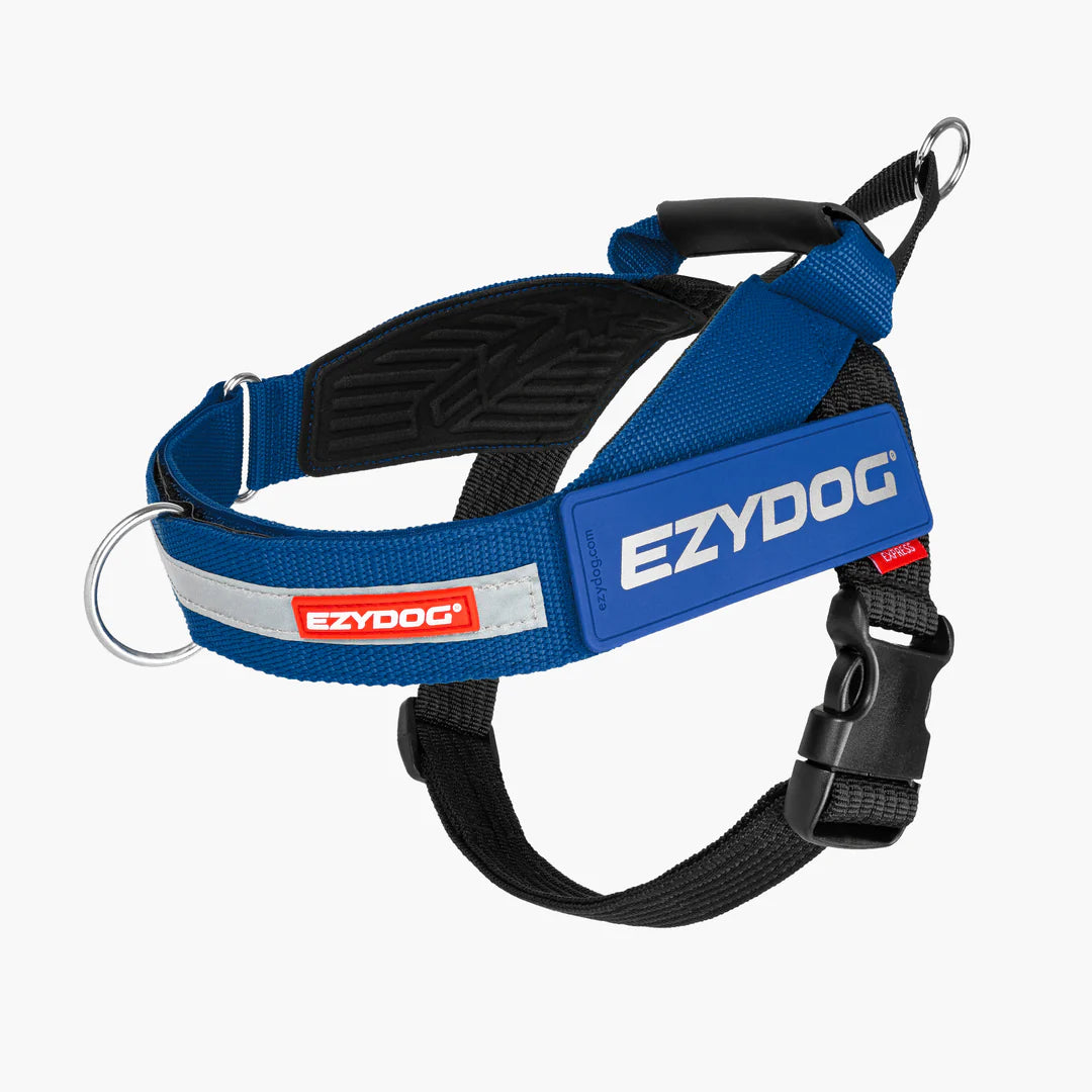 Ed Harness Express