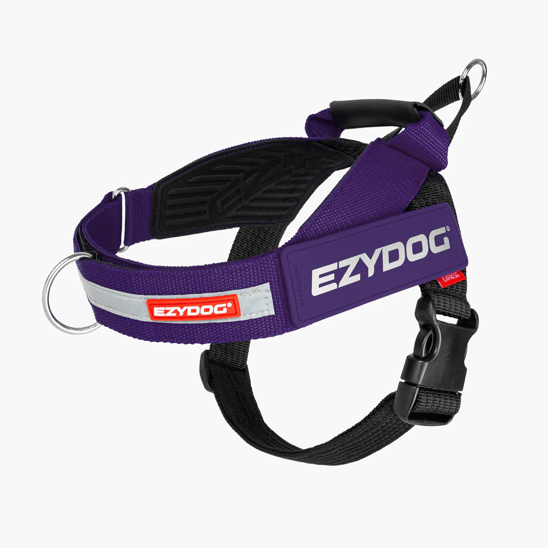 Ed Harness Express