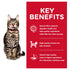 Science Diet Cat Dry Adult +7 Indoor 3.17kg