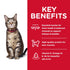 Science Diet Cat Dry Original 6kg
