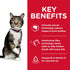 Science Diet Cat Dry Oral Care 2kg