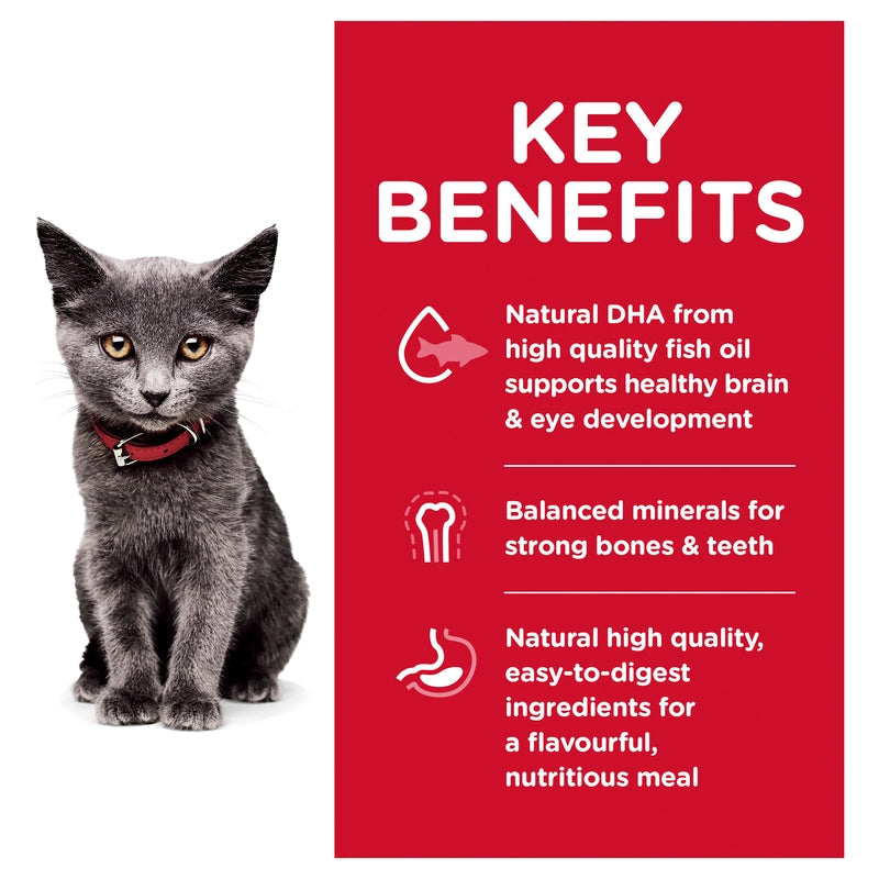Science Diet Cat Dry Kitten Indoor 3.17kg