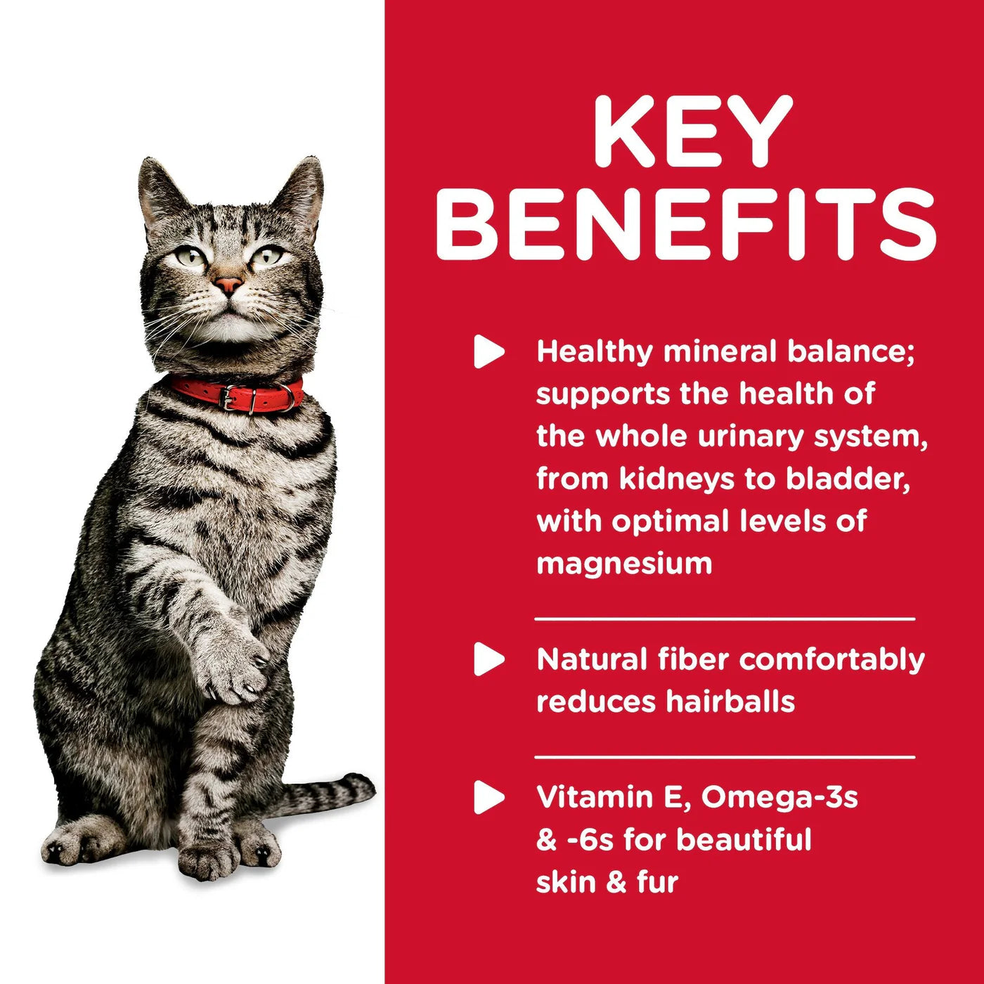 Science Diet Cat Wet Urinary
