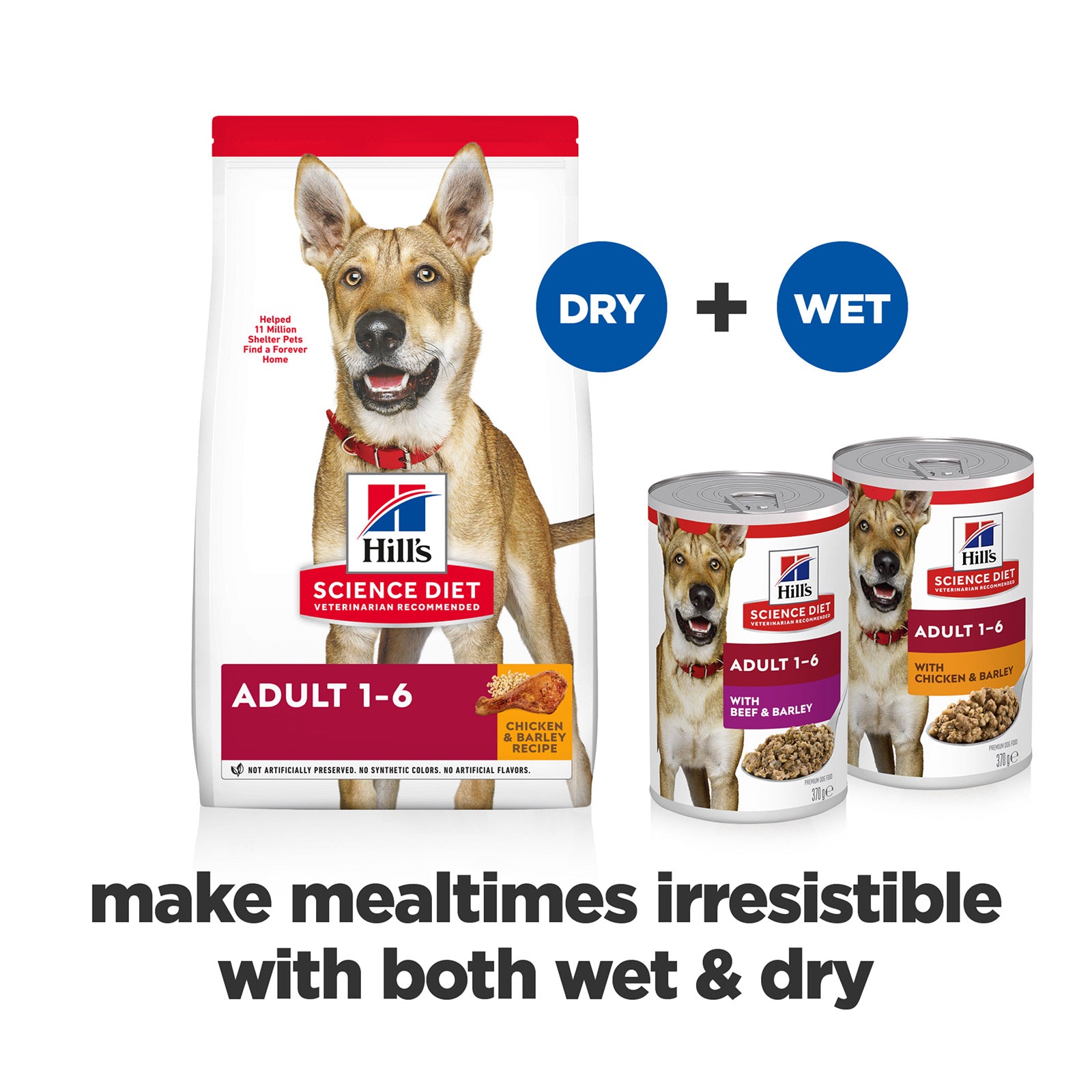 Science Diet Dog Wet Beef