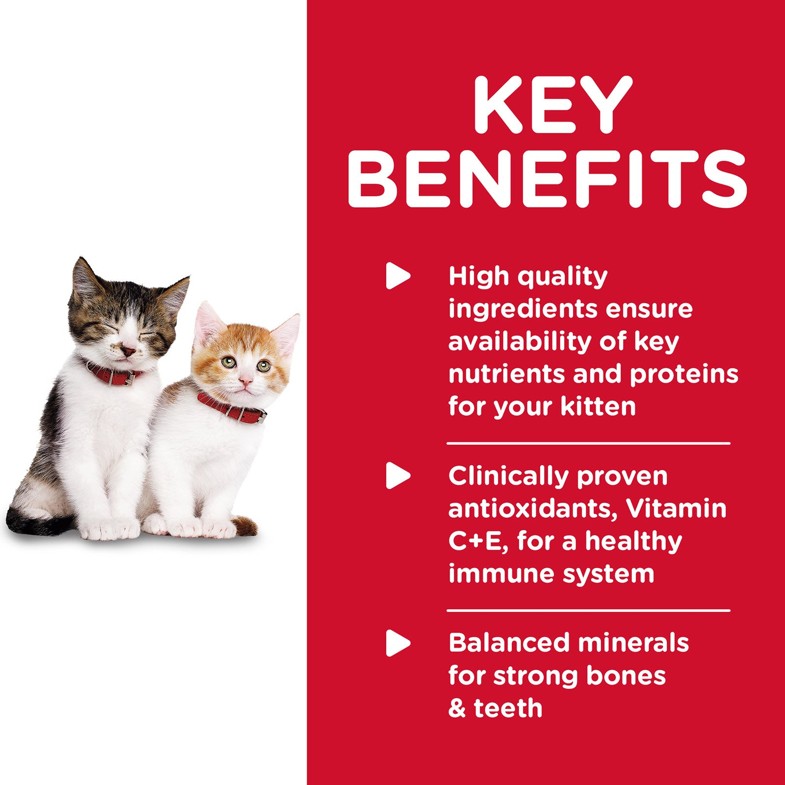 Science Diet Cat Wet Kitten Chicken Rice