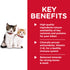 Science Diet Cat Wet Kitten Chicken Rice