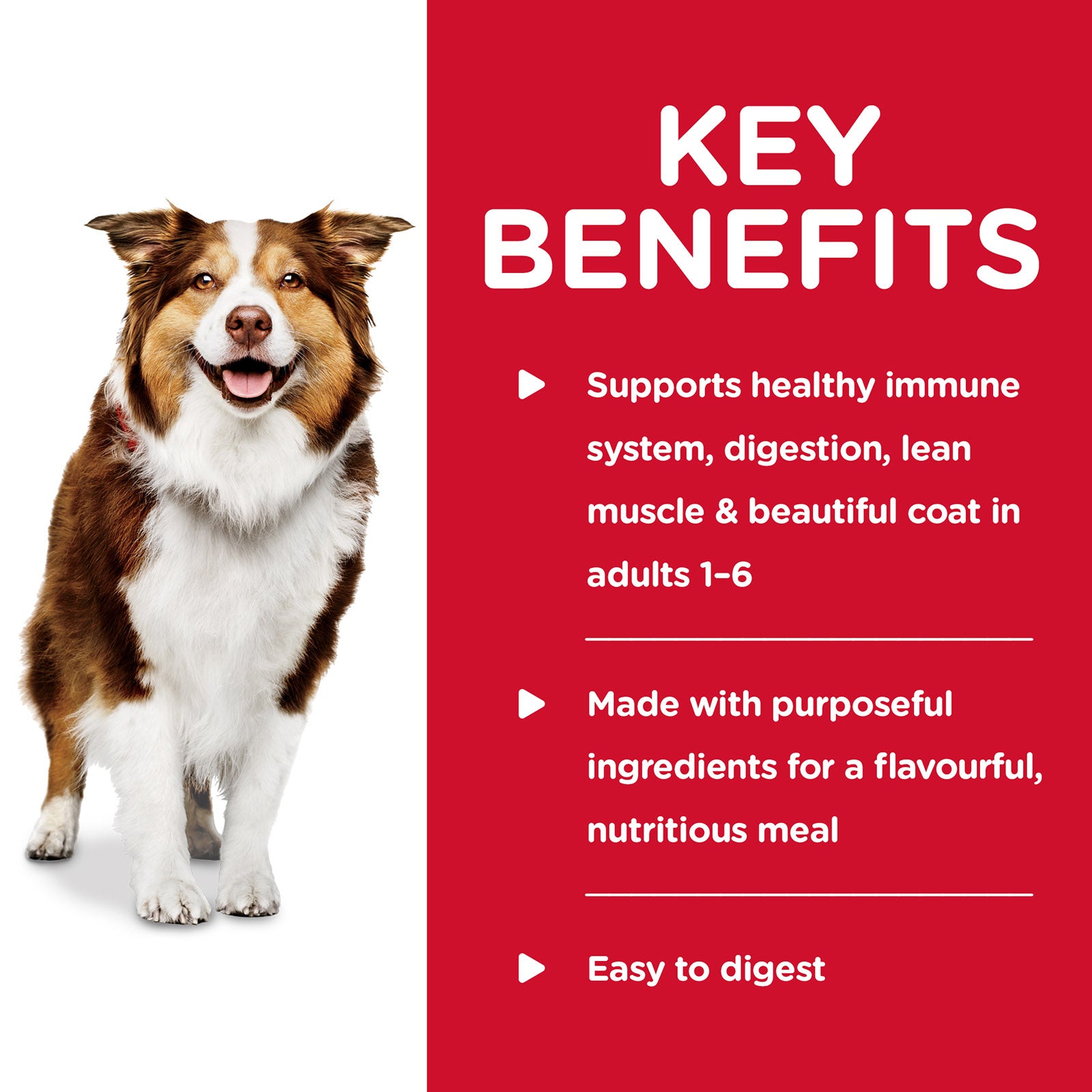 Science Diet Dog Wet Chicken Carrot Stew 354g