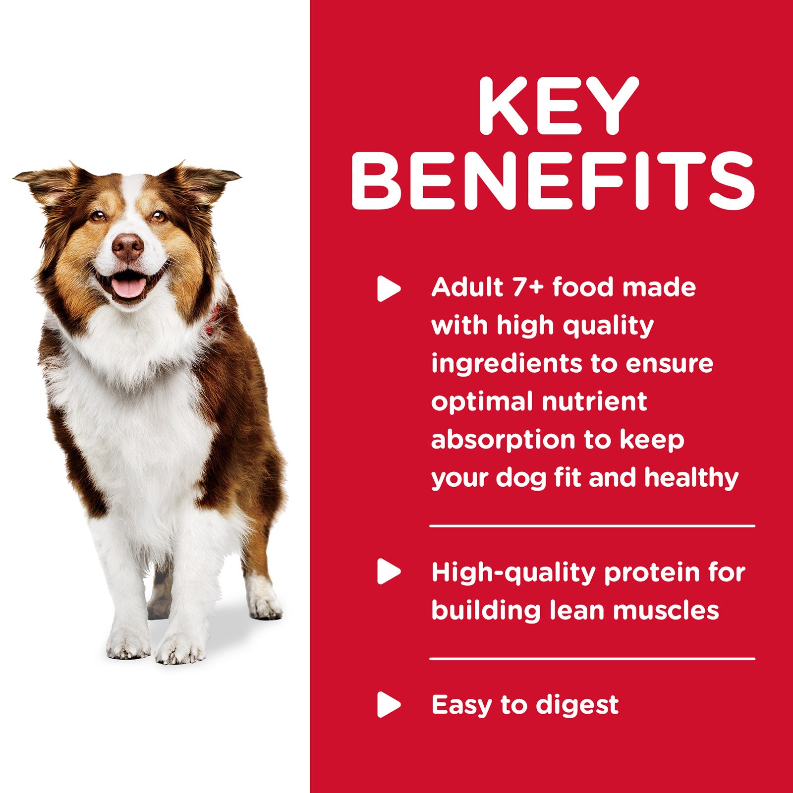 Science Diet Dog Wet Healthy 7+ 354G