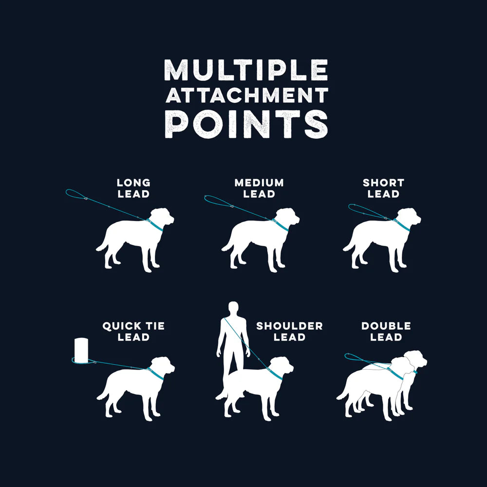 Huskimo Dog Lead Specialist Multi Lead