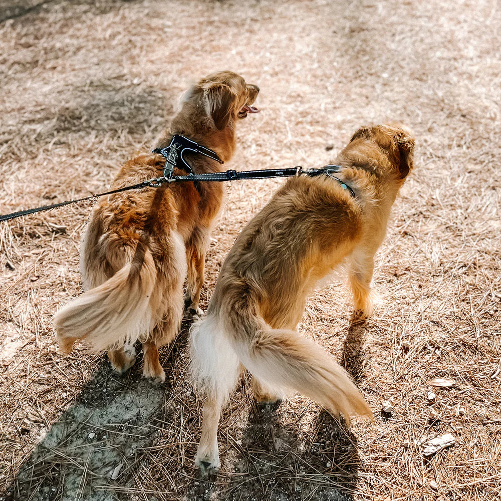 Huskimo Dog Lead Specialist Split Lead