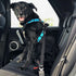 Huskimo Dog Specialist Car Restraint Easyclick