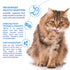 INABA Churu Hairball Control Tuna Recipe