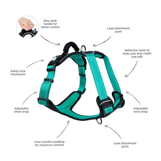 Huskimo Dog Harness Ultimate Ningaloo