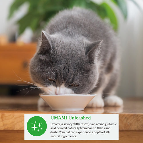 INABA Cat Dashi Delights Tuna With Salmon 70g