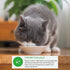 INABA Cat Dashi Delights Tuna 70g