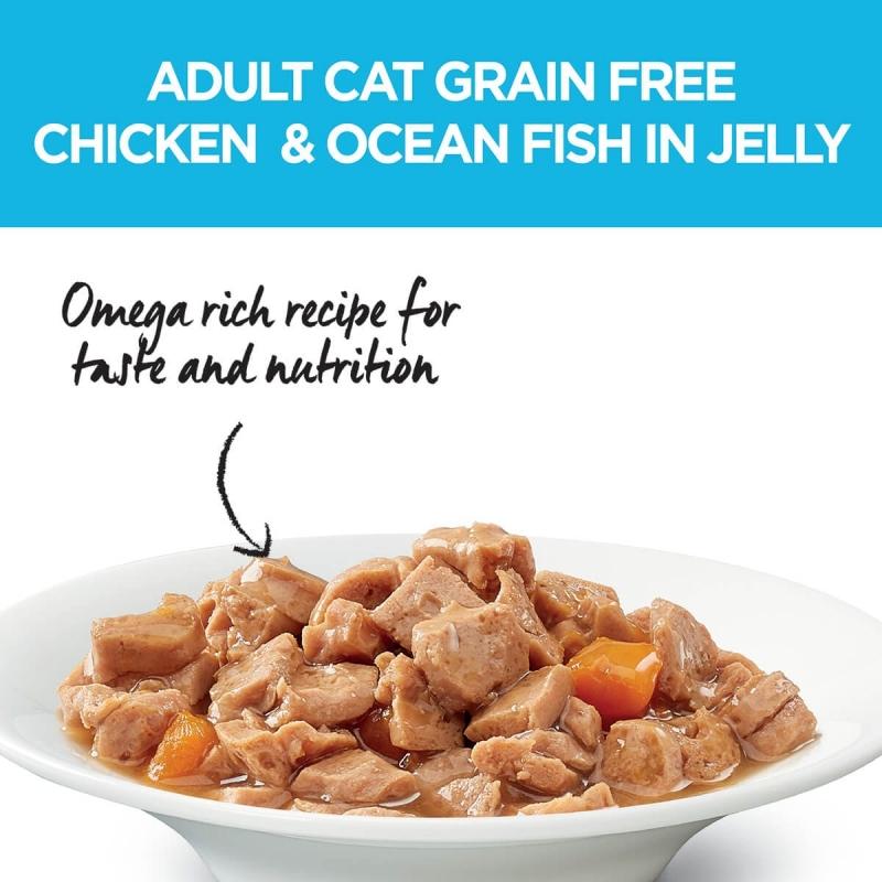 Ivory Coat Cat Wet Chicken And Ocean Fish In Jelly 85g