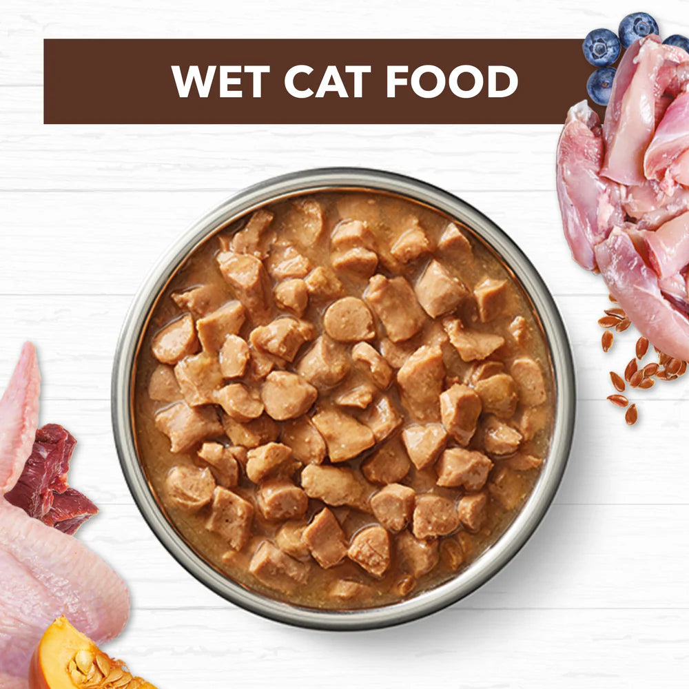 Ivory Coat Cat Wet Chicken and Kangaroo In Gravy