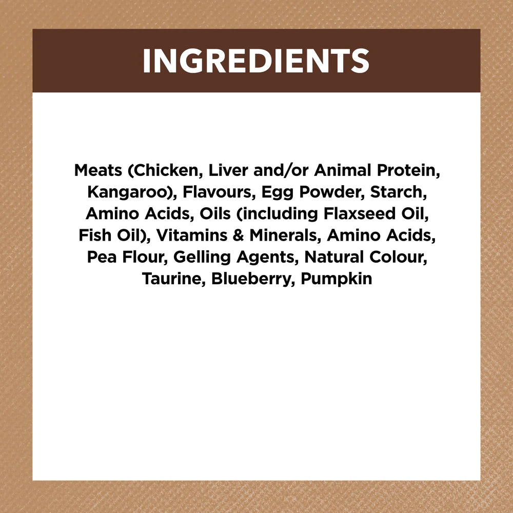 Ivory Coat Cat Wet Chicken and Kangaroo In Gravy