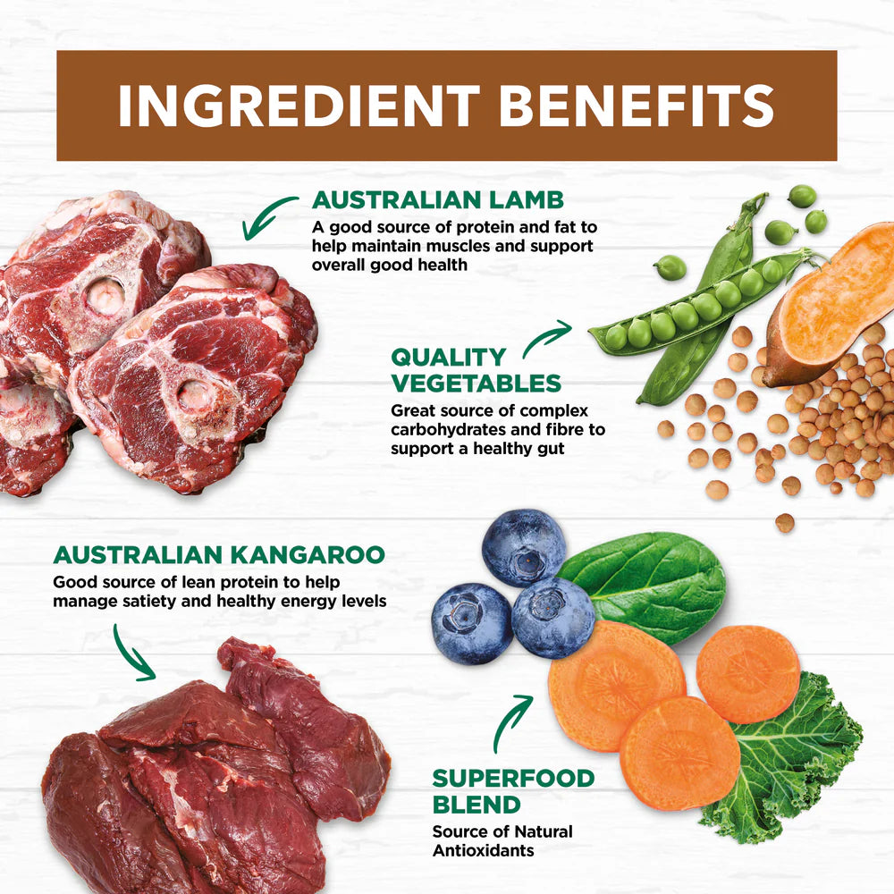 Ivory Coat Wet Lamb and Kangaroo Stew
