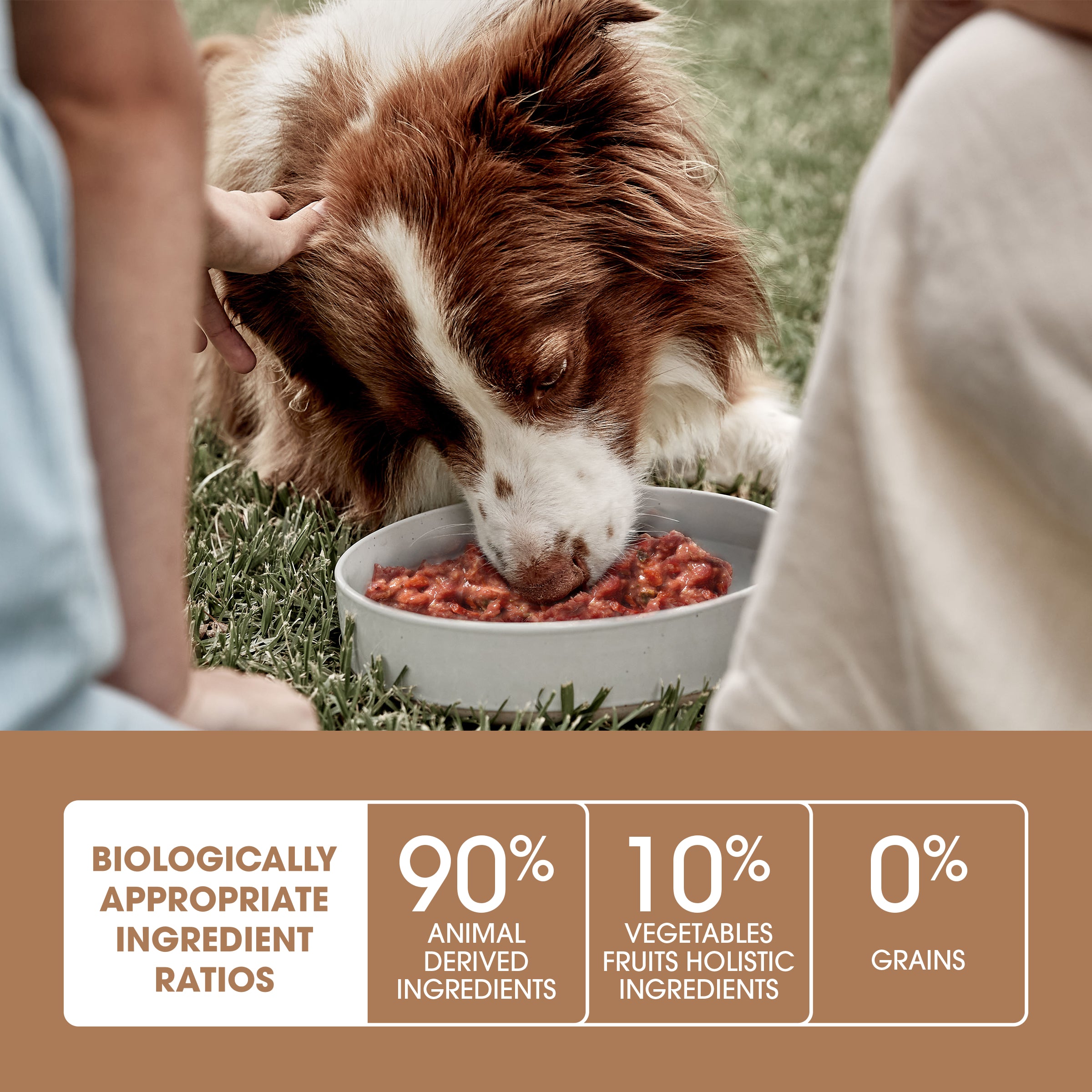 Ivory Coat Grain Free Dog Raw Beef (12 x 227g patties)