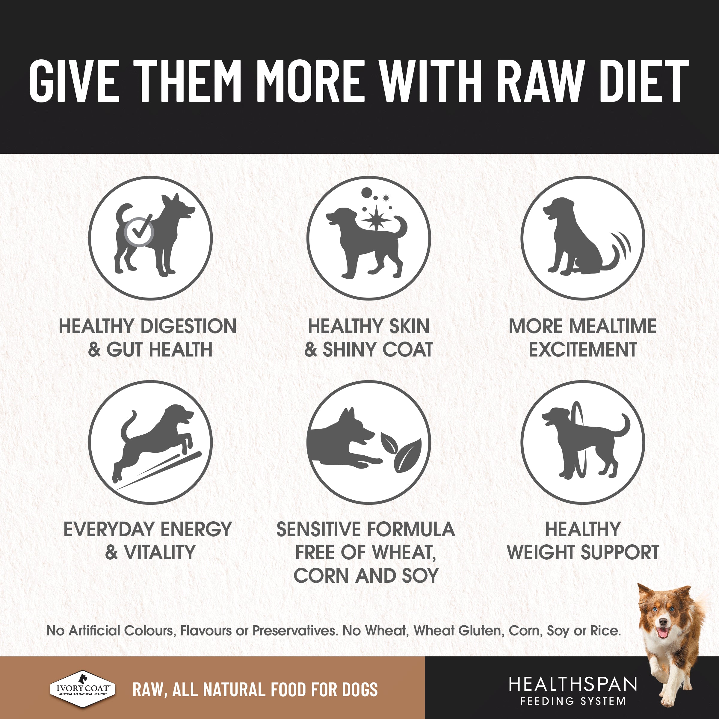 Ivory Coat Grain Free Dog Raw Lamb (12 x 227g patties)