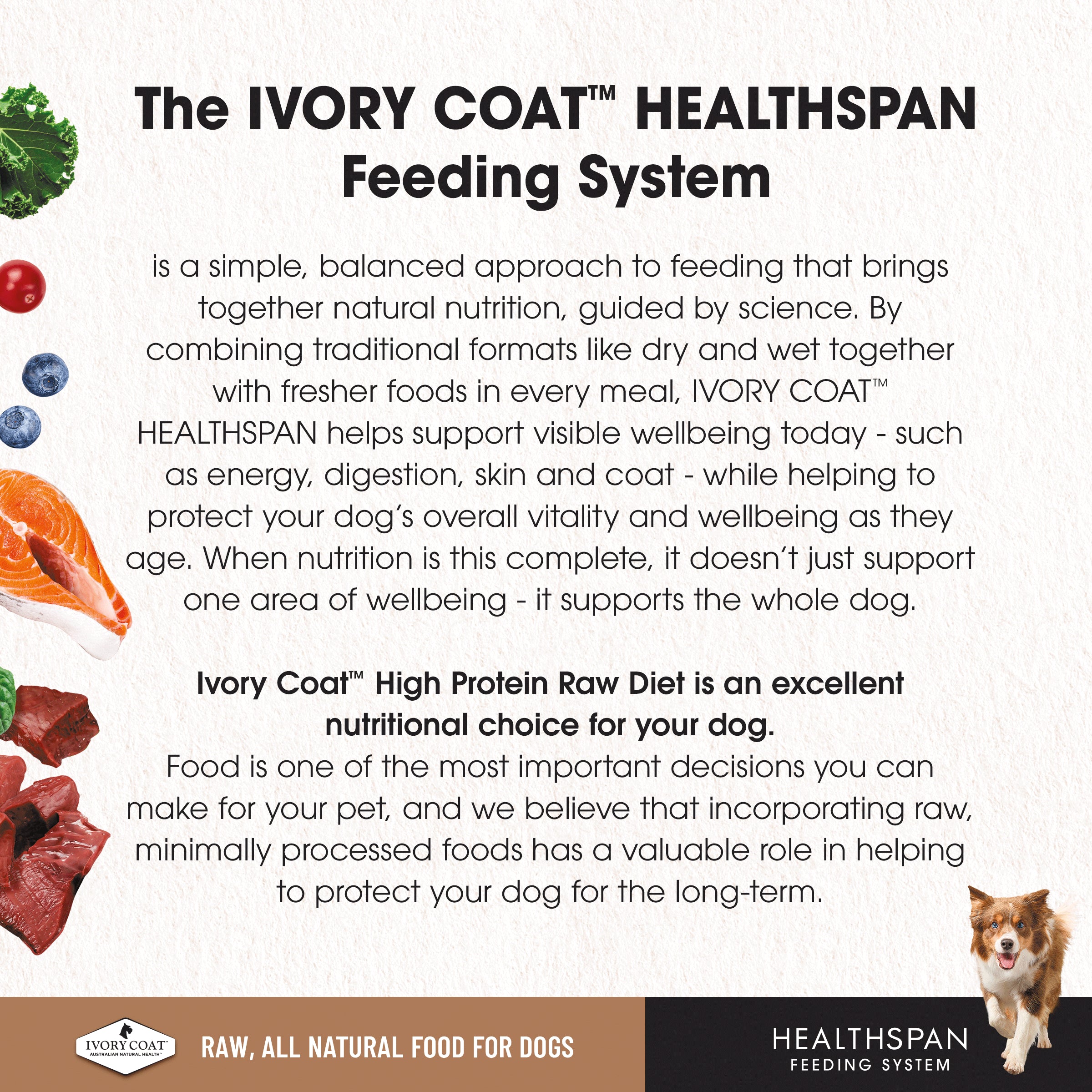 Ivory Coat Grain Free Dog Raw Combo (12 x 227g patties)