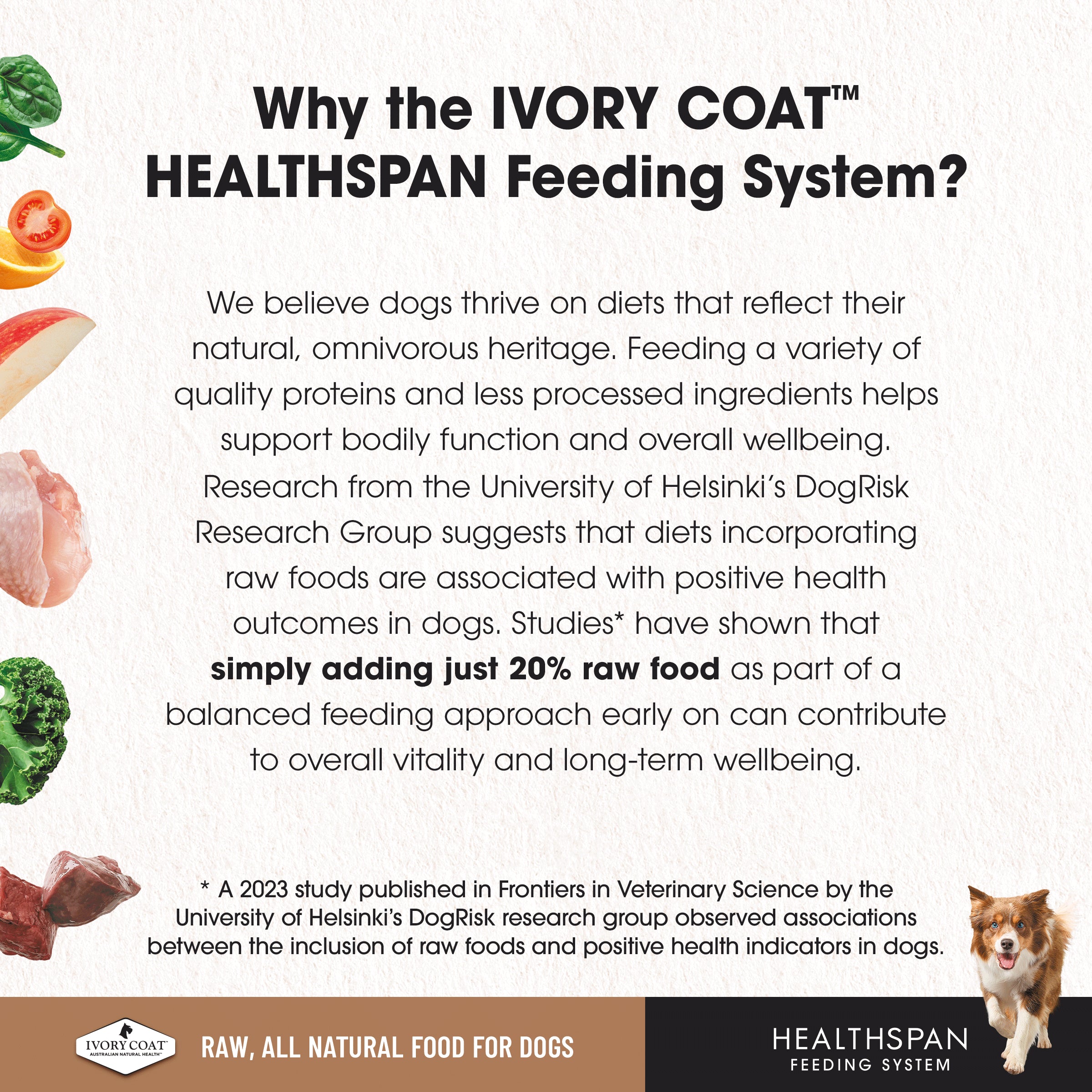 Ivory Coat Grain Free Dog Raw Turkey (12 x 227g patties)