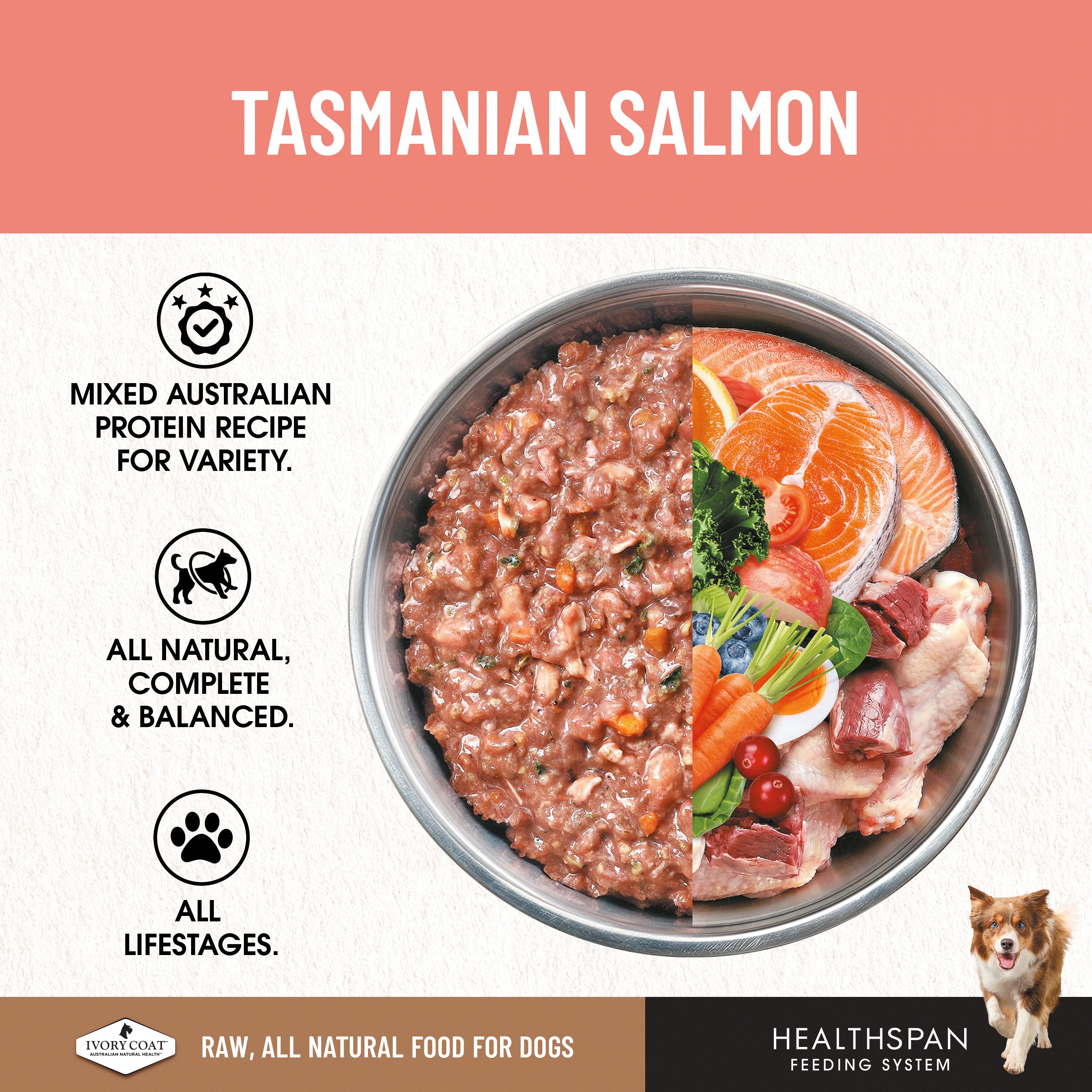Ivory Coat Grain Free Dog Raw Salmon (12 x 227g patties)