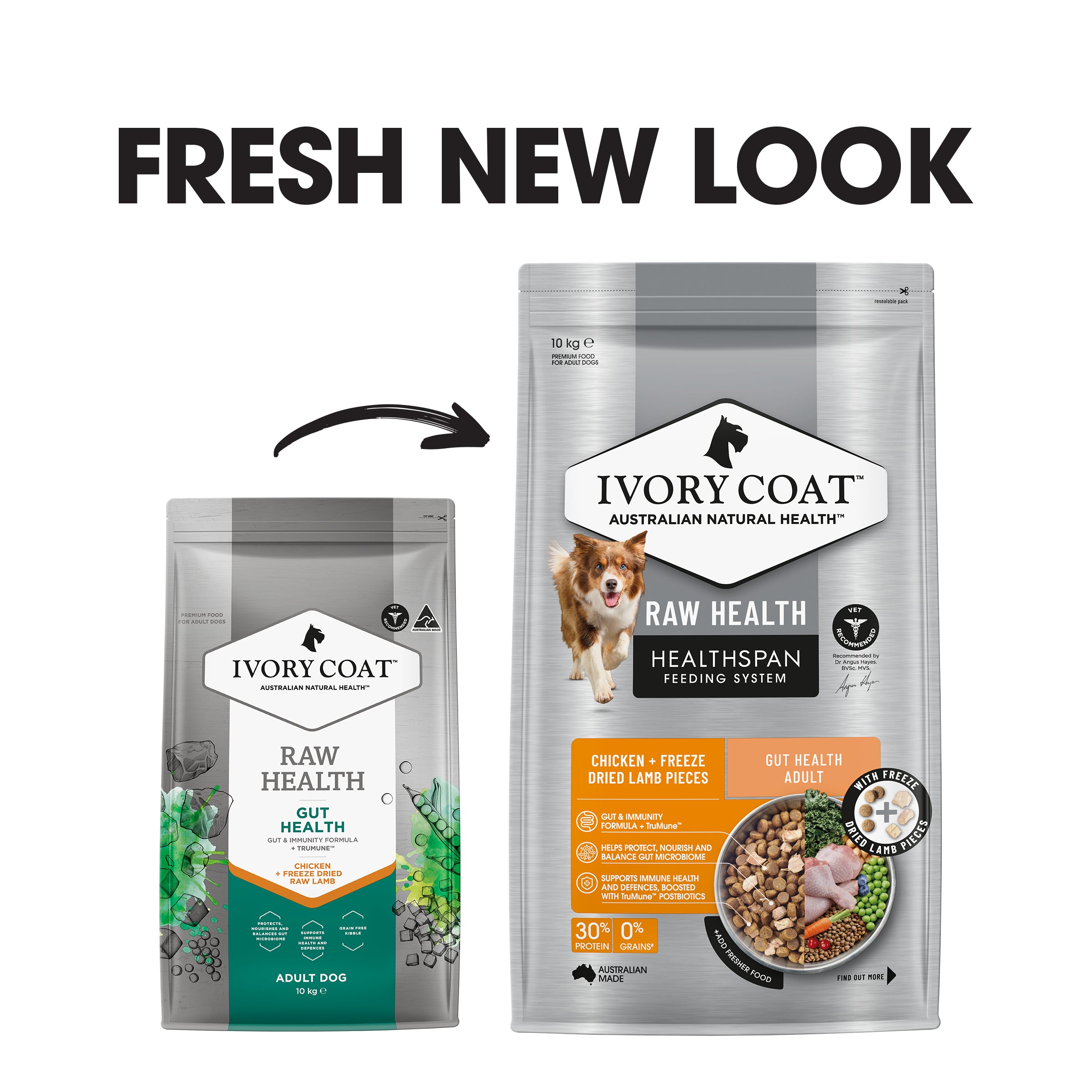 Ivory Coat Raw Health Dog Gut Health 10kg
