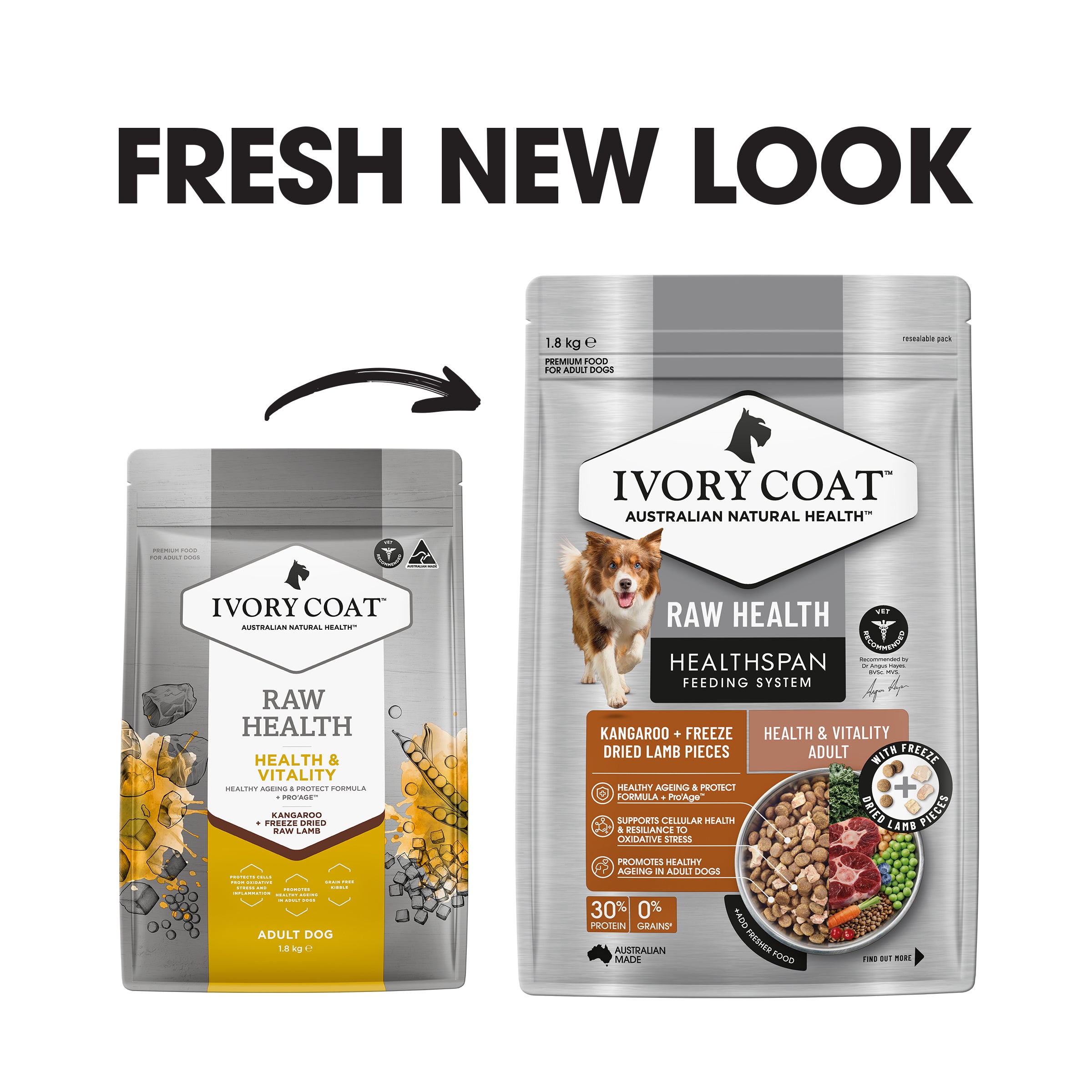 Ivory Coat Raw Health Dog Health and Vitality 1.8kg