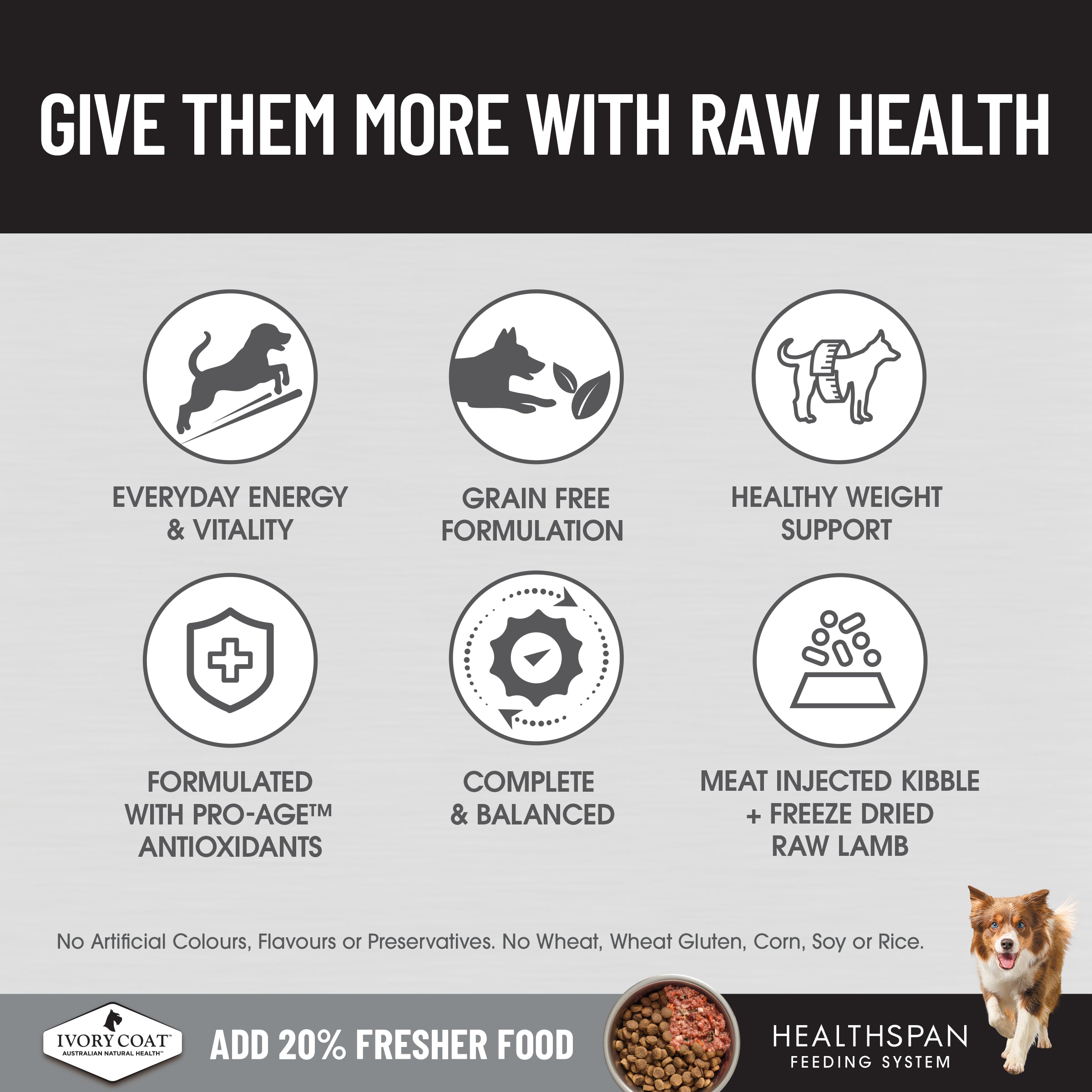 Ivory Coat Raw Health Dog Health and Vitality 1.8kg