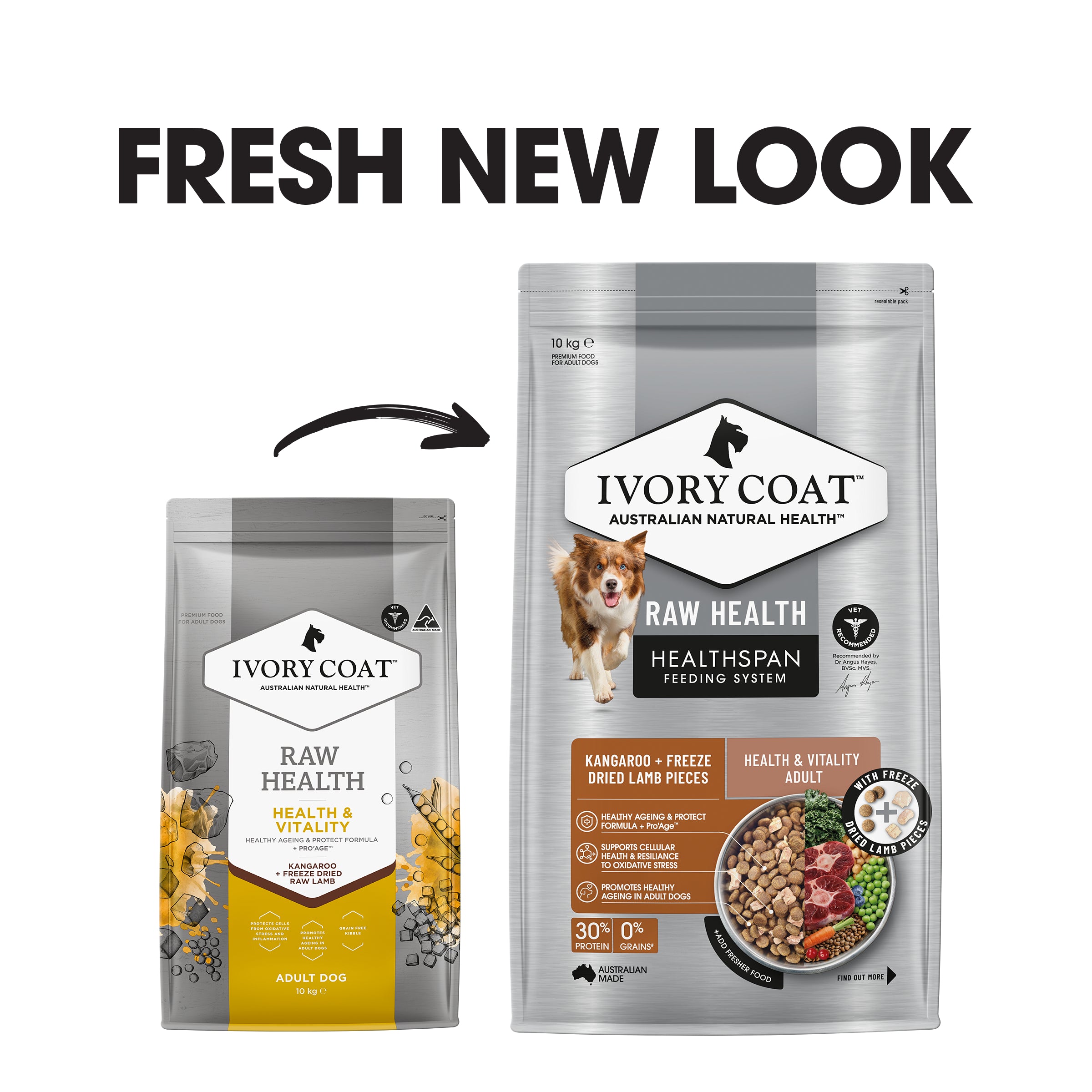 Ivory Coat Raw Health Dog Health and Vitality 10kg