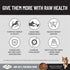 Ivory Coat Raw Health Dog Health and Vitality 10kg