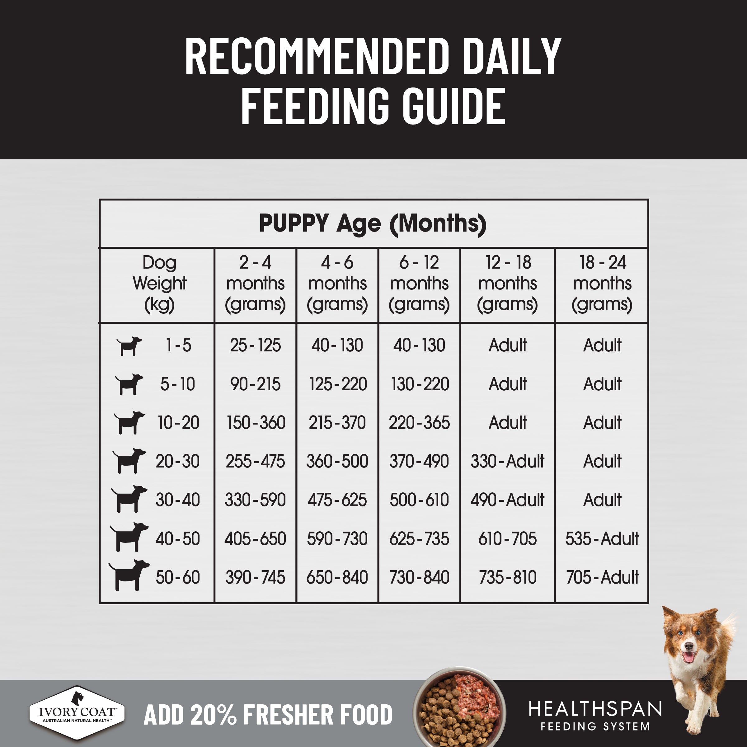 Ivory Coat Raw Health Puppy Immunity 10kg