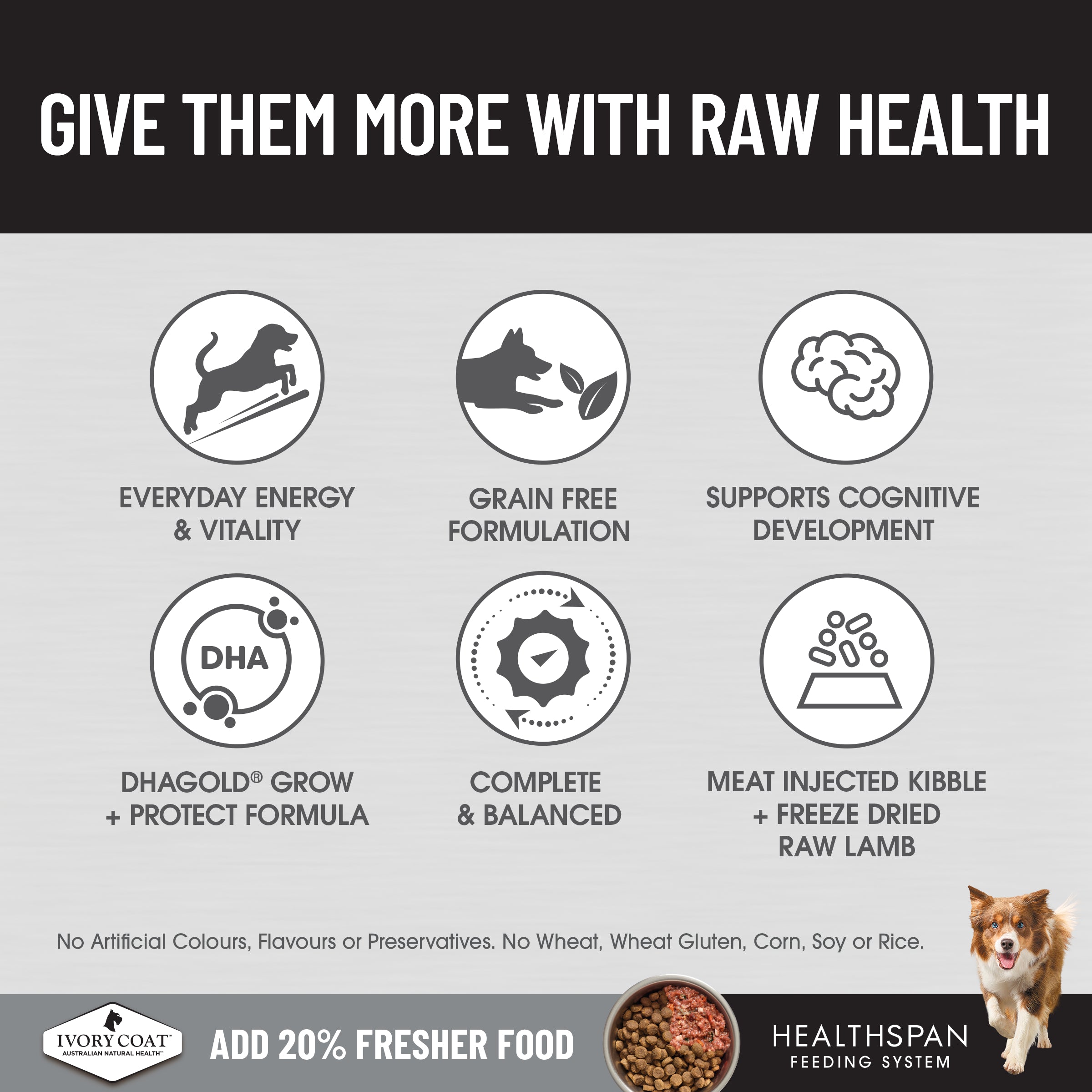 Ivory Coat Raw Health Puppy Immunity 10kg