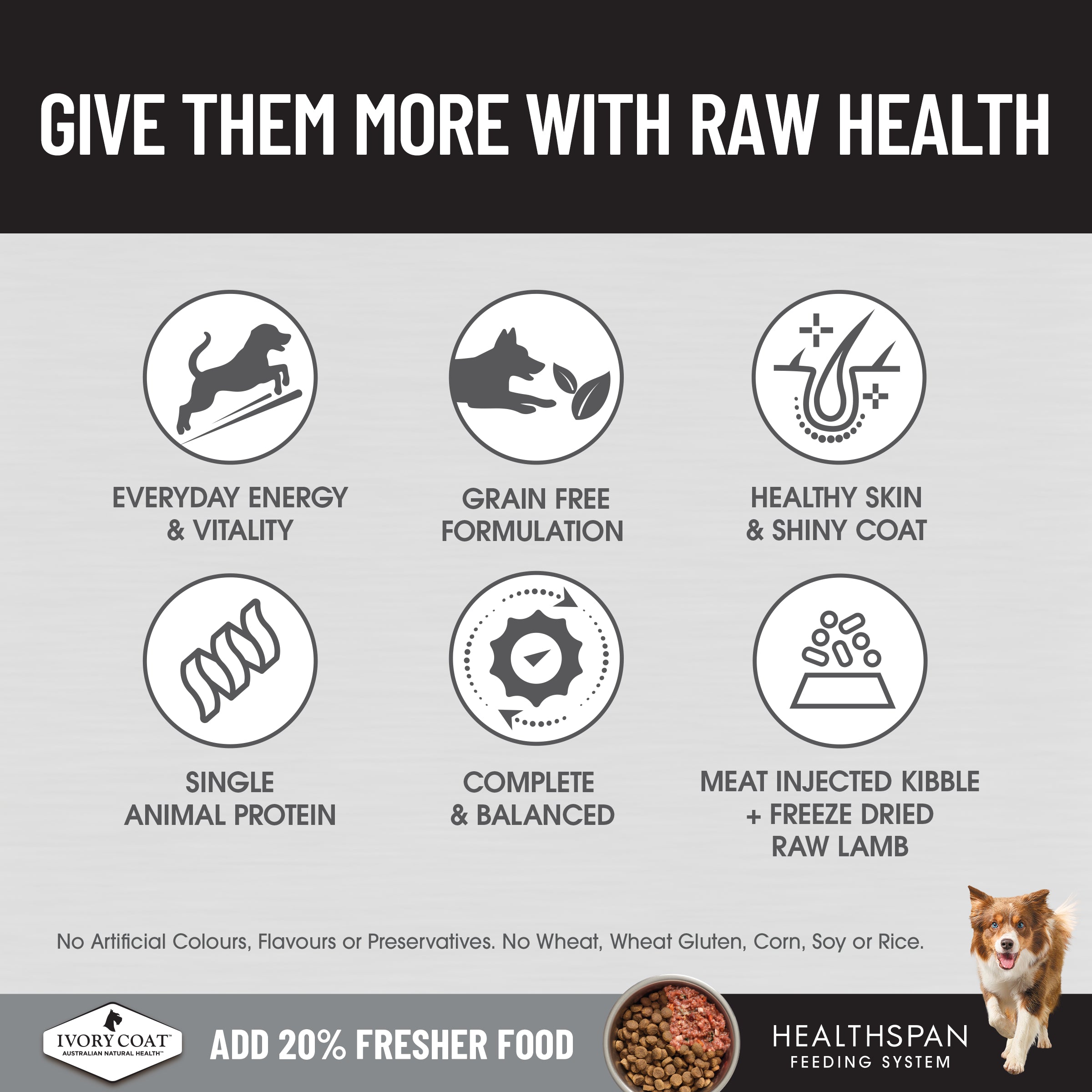 Ivory Coat Raw Health Dog Sensitive Care 1.8kg