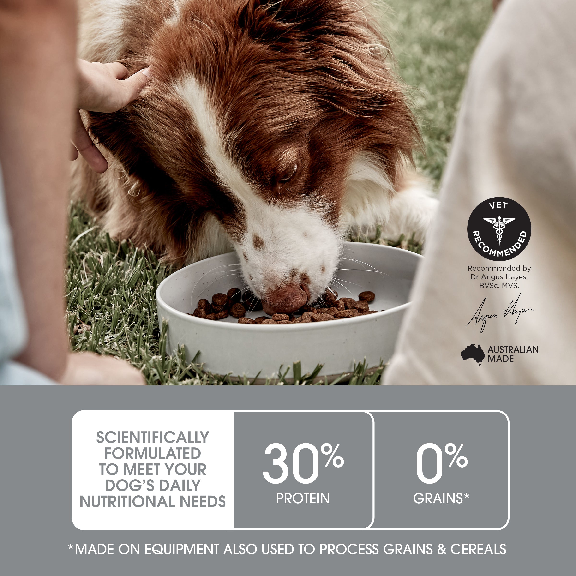 Ivory Coat Raw Health Dog Sensitive Care 1.8kg