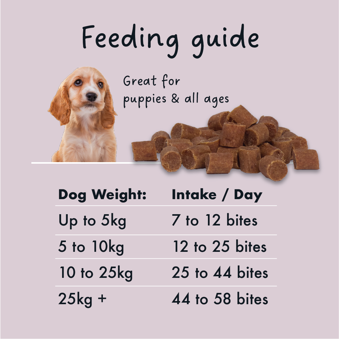 KIDDO Training Soft Duck Bites 90g
