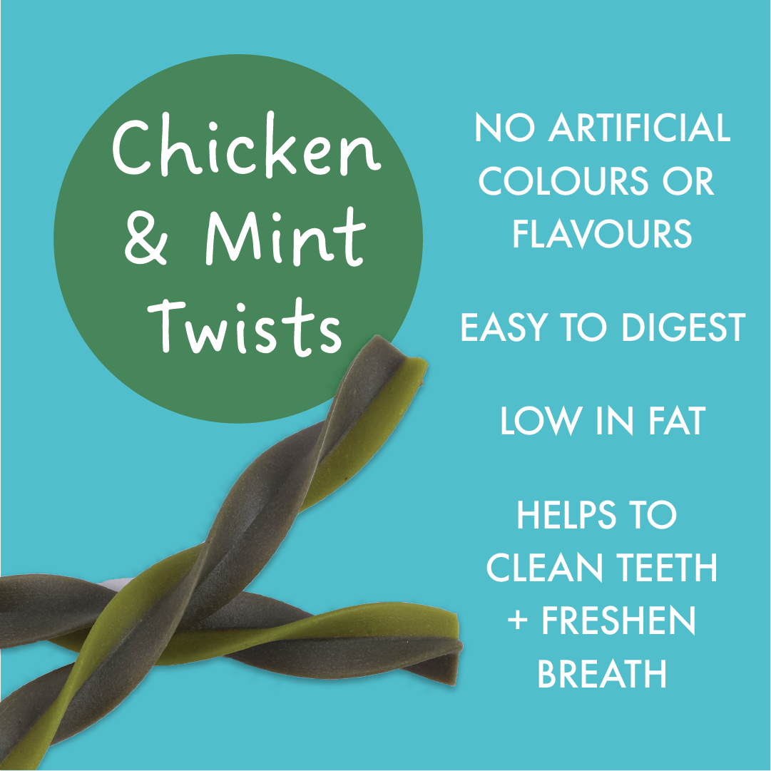 KIDDO Dental Small Chicken & Mint Twists 10pk