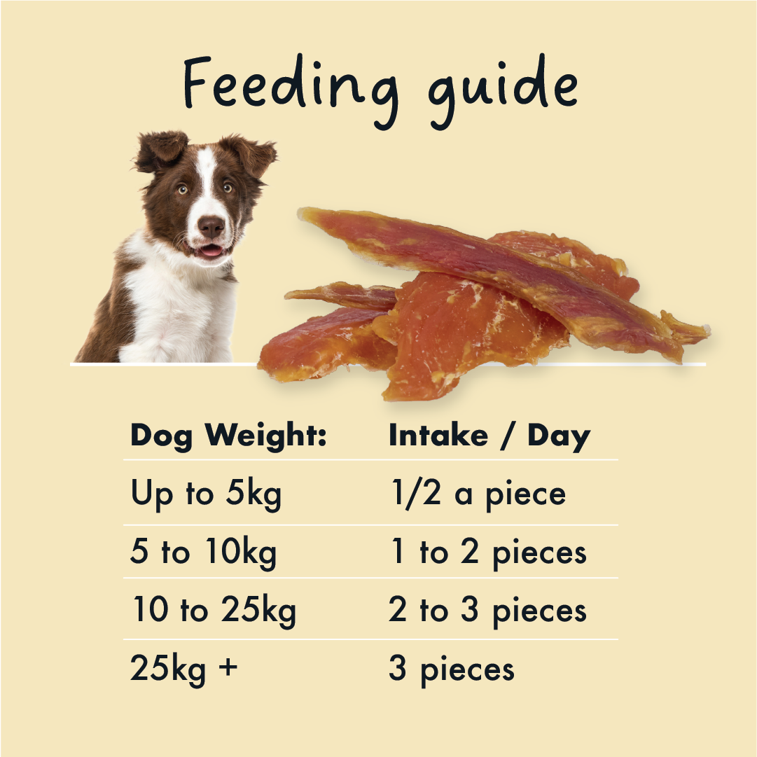 KIDDO Jerky Chicken Tenders 90g