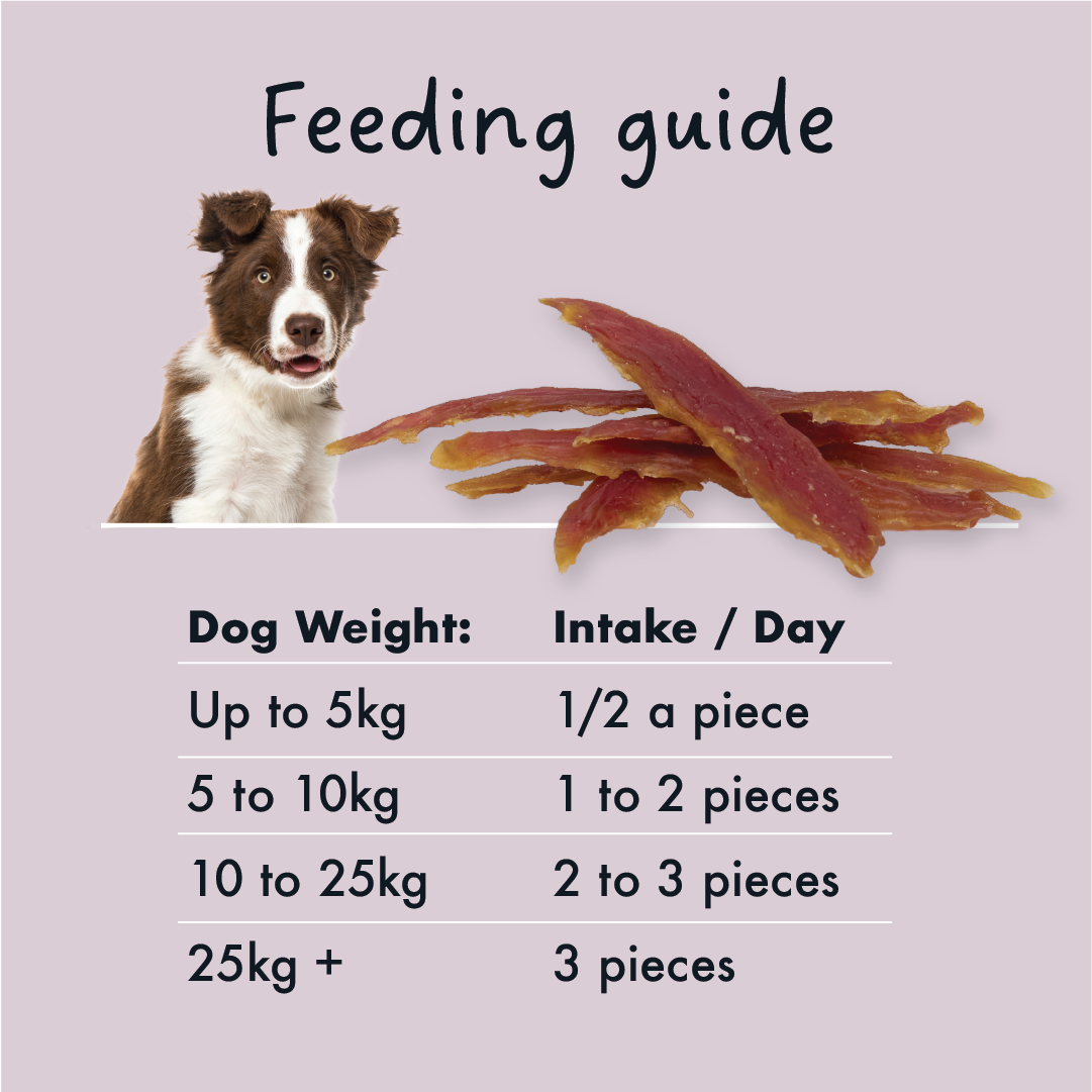 KIDDO Jerky Duck Tenders 90g