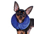 KONG Cloud Collar