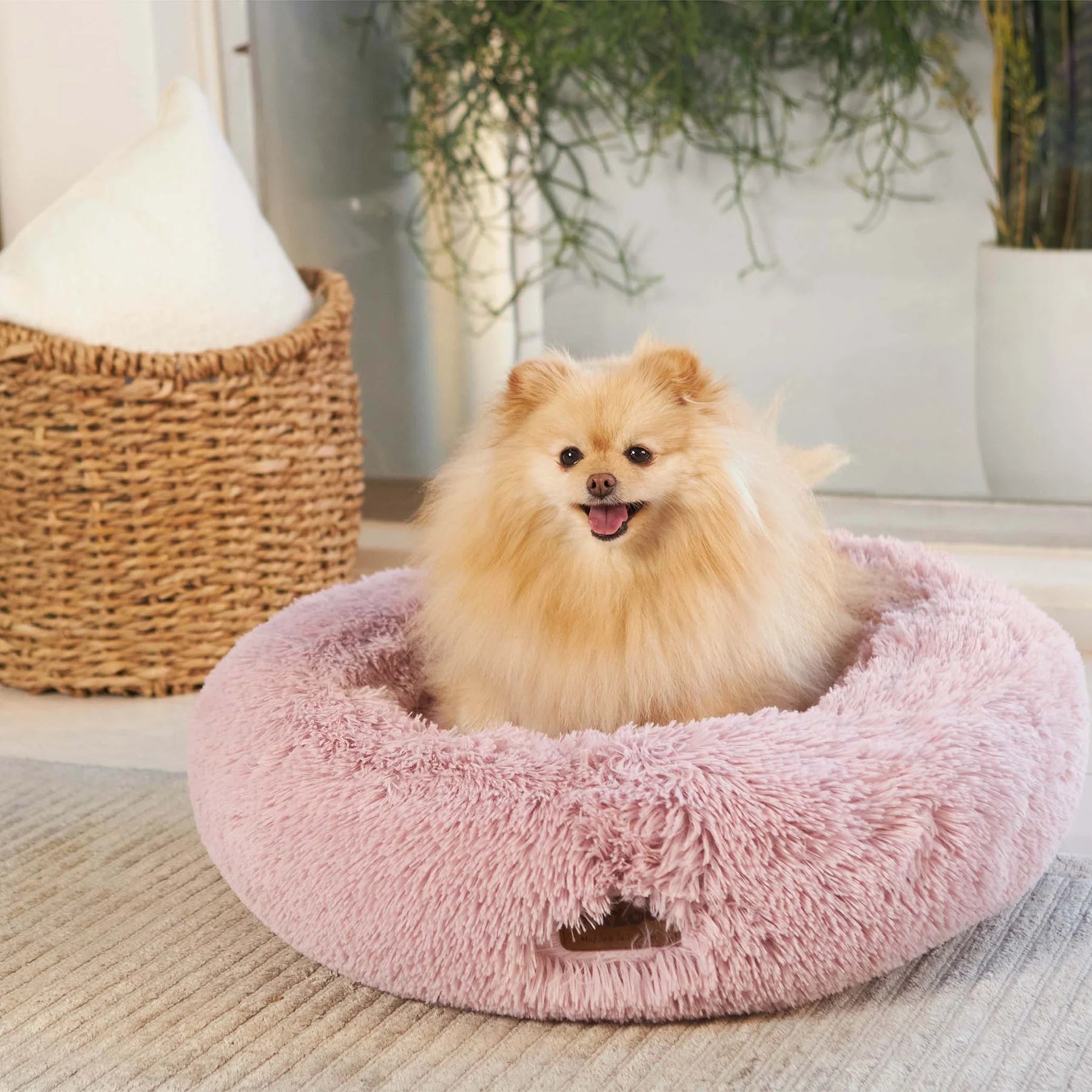 Kazoo Bed Peacock Rose Medium