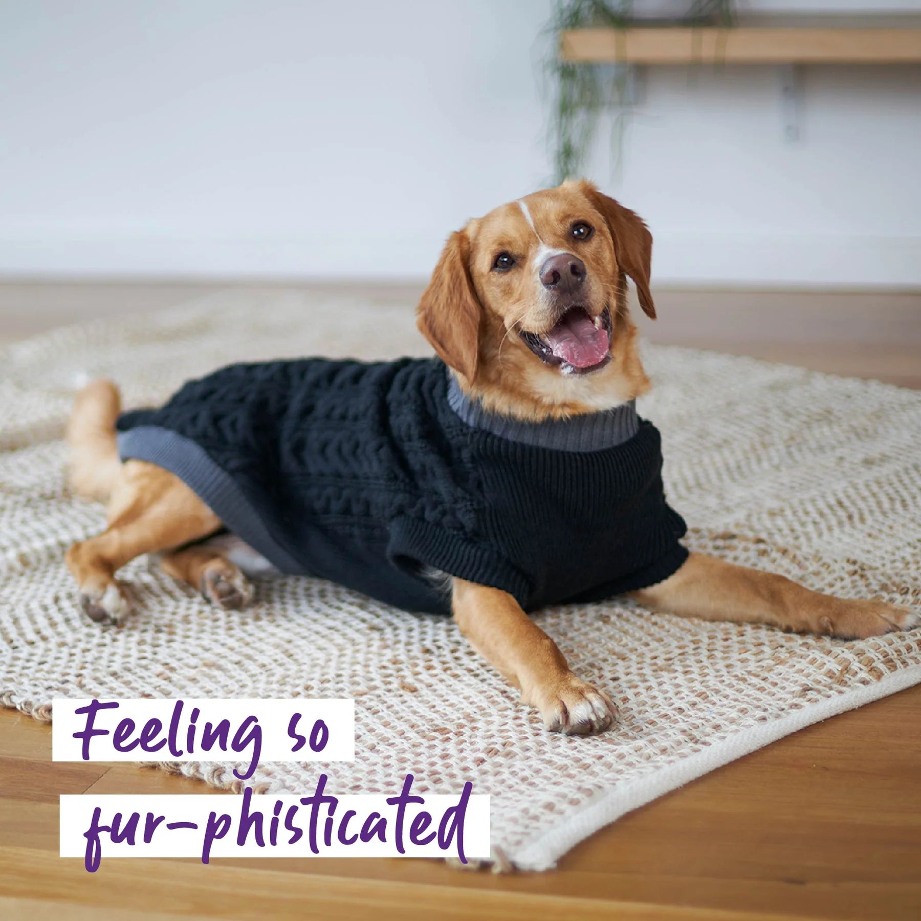 Kazoo Black Cable Knit