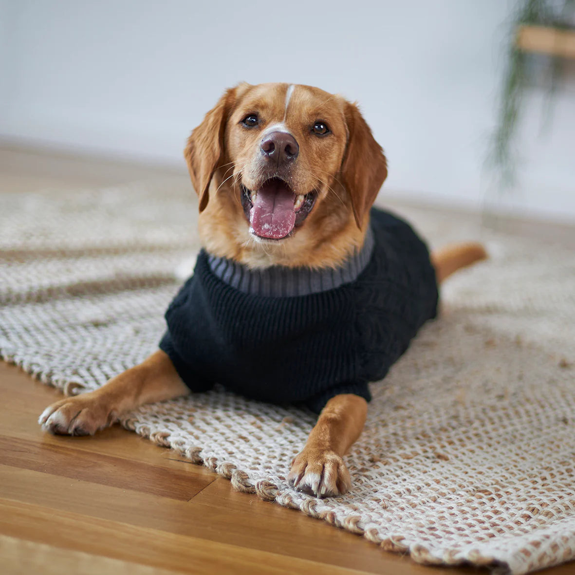 Kazoo Black Cable Knit