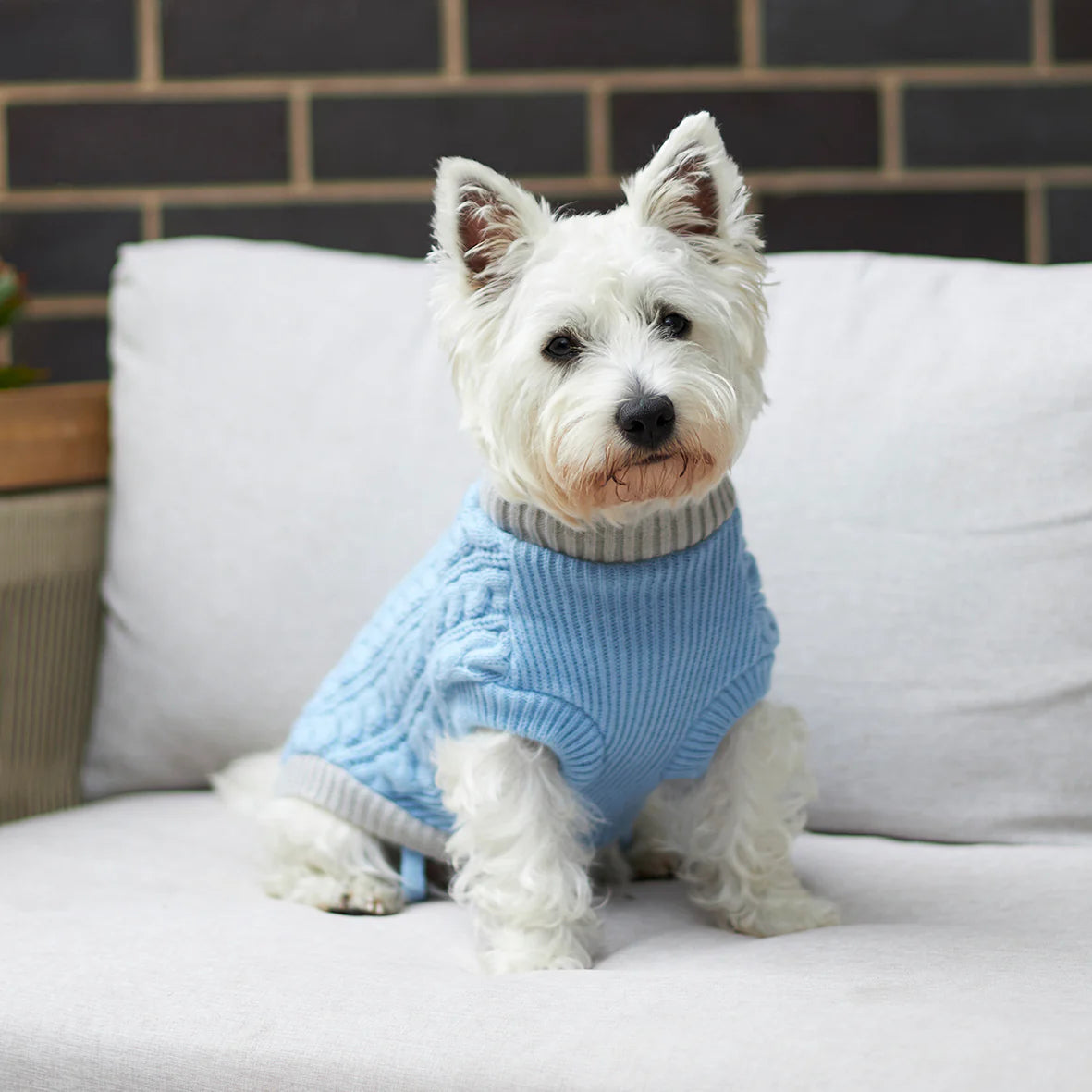 Kazoo Blue Cloud Cable Knit Coat