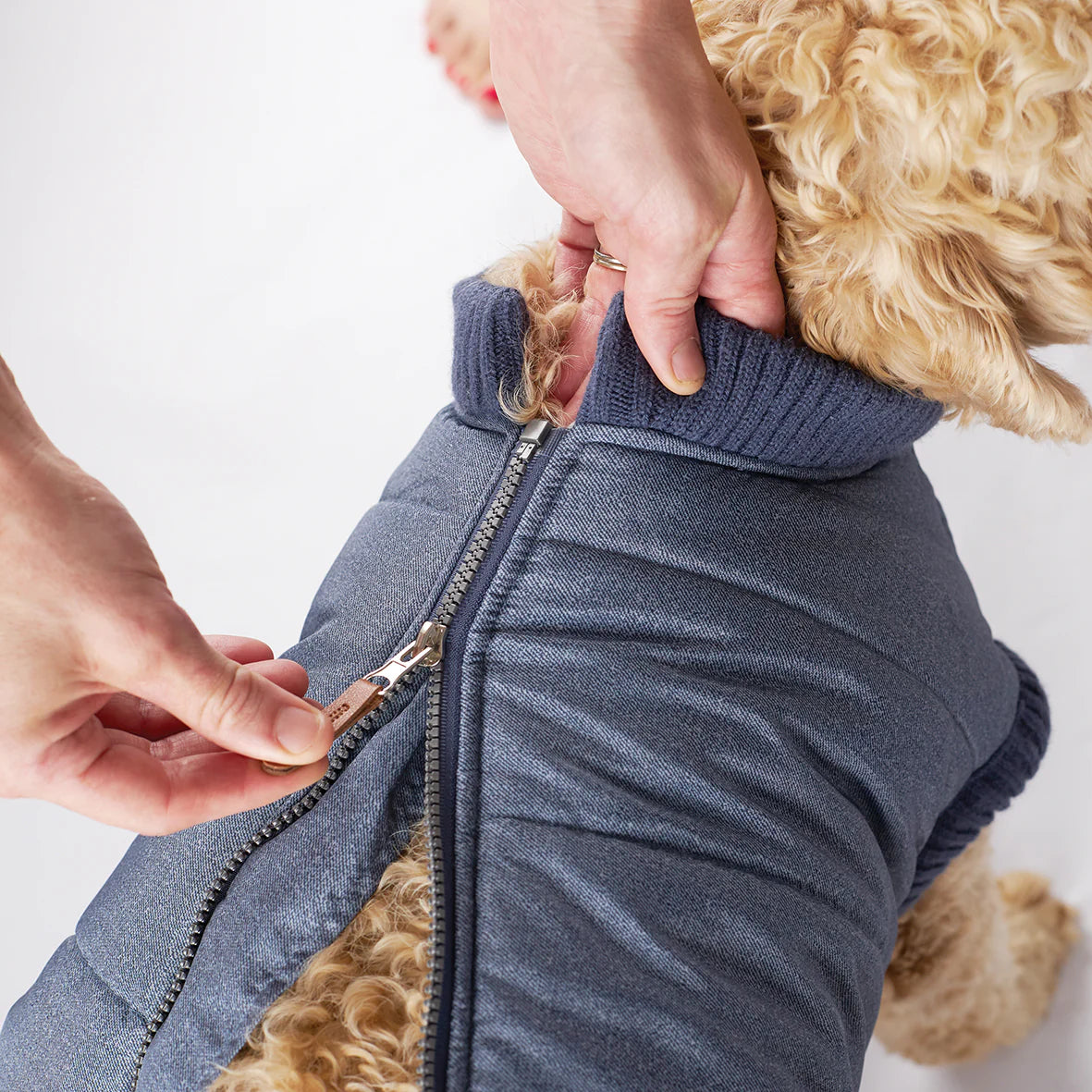 Kazoo Bomber Jacket 46.5cm