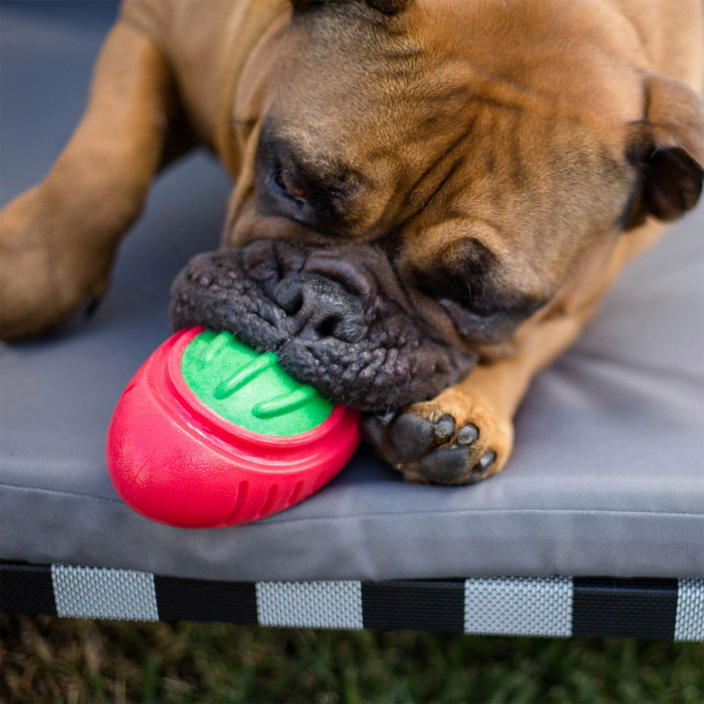 Kazoo Christmas Tough Footy - Medium