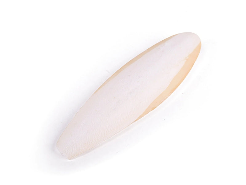 Kazoo Cuttlebone Natural