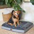 Kazoo Dark Cloud Comfort Bed Grey Black